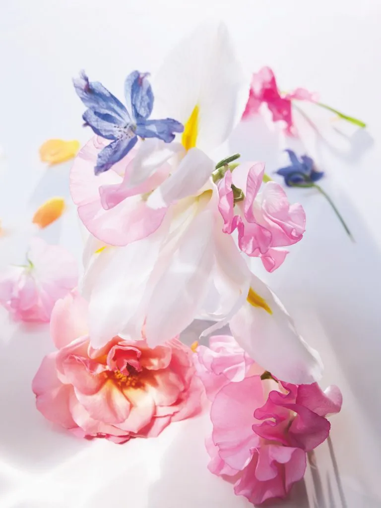 A dazzling bouquet encapsulated in floral perfumes