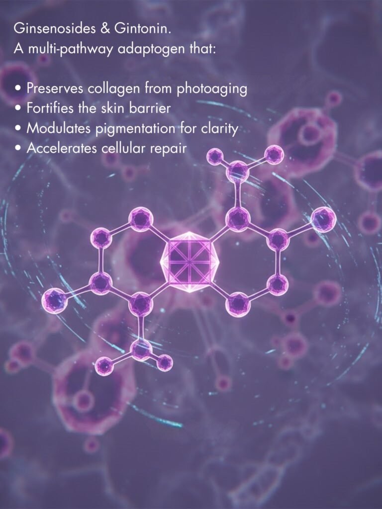 Ginsenosides & Gintonin Skincare Benefits